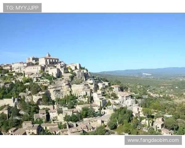 尼斯对波尔多精彩直播全程回顾与赛后分析尽在这里